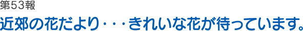 第53報 近郊の花だより・・・きれいな花が待っています。