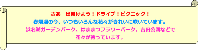 さあ　出掛けよう！ドライブ！ピクニック！春爛漫の今、いつもいろんな花々がきれいに咲いています。浜名湖ガーデンパーク、はままつフラワーパーク、吉田公園などで、花々が待っています。