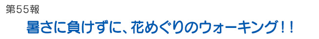 第55報 暑さに負けずに、花めぐりのウォーキング！！