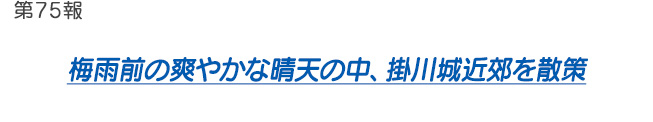 第75報 梅雨前の爽やかな晴天の中、掛川城近郊を散策