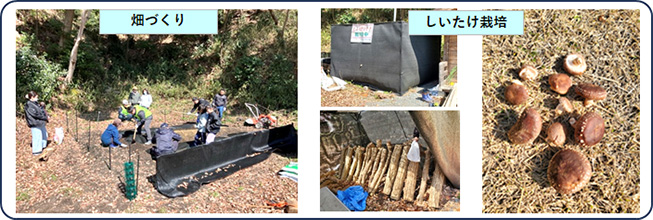 畑づくり・しいたけ栽培の様子