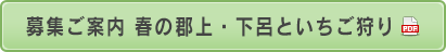 募集ご案内春の郡上・下呂といちご狩り