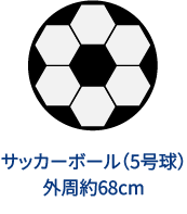 サッカーボール（5号球）外周約68cm