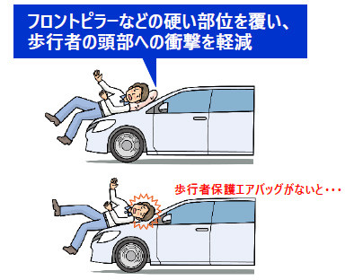 フロントピラーなどの硬い部位を覆い、歩行者の頭部への衝撃を軽減