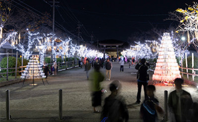 稲沢市へLEDイルミネーションを寄贈