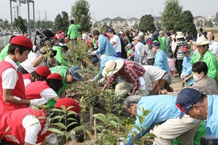 平和町工場「工場の森づくり」活動