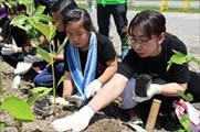 植樹する参加者