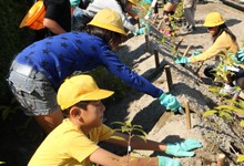 工場の森づくり(植樹の様子)