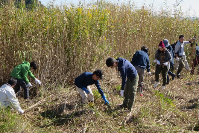 豊田合成東日本、宮城県伊豆沼で生態系保護活動を実施