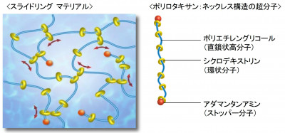 誘電アクチュエータと誘電センサとして開発中の「e-Rubber」の主材料である超分子の独占ライセンス契約を締結