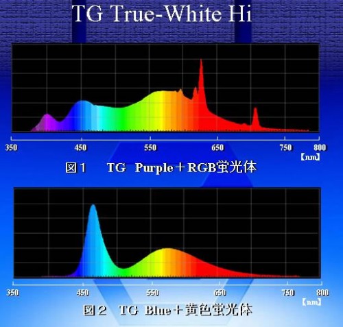 高光度・高演色性白色LEDランプの開発・販売