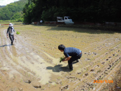 岐阜県での里山づくり活動を拡大